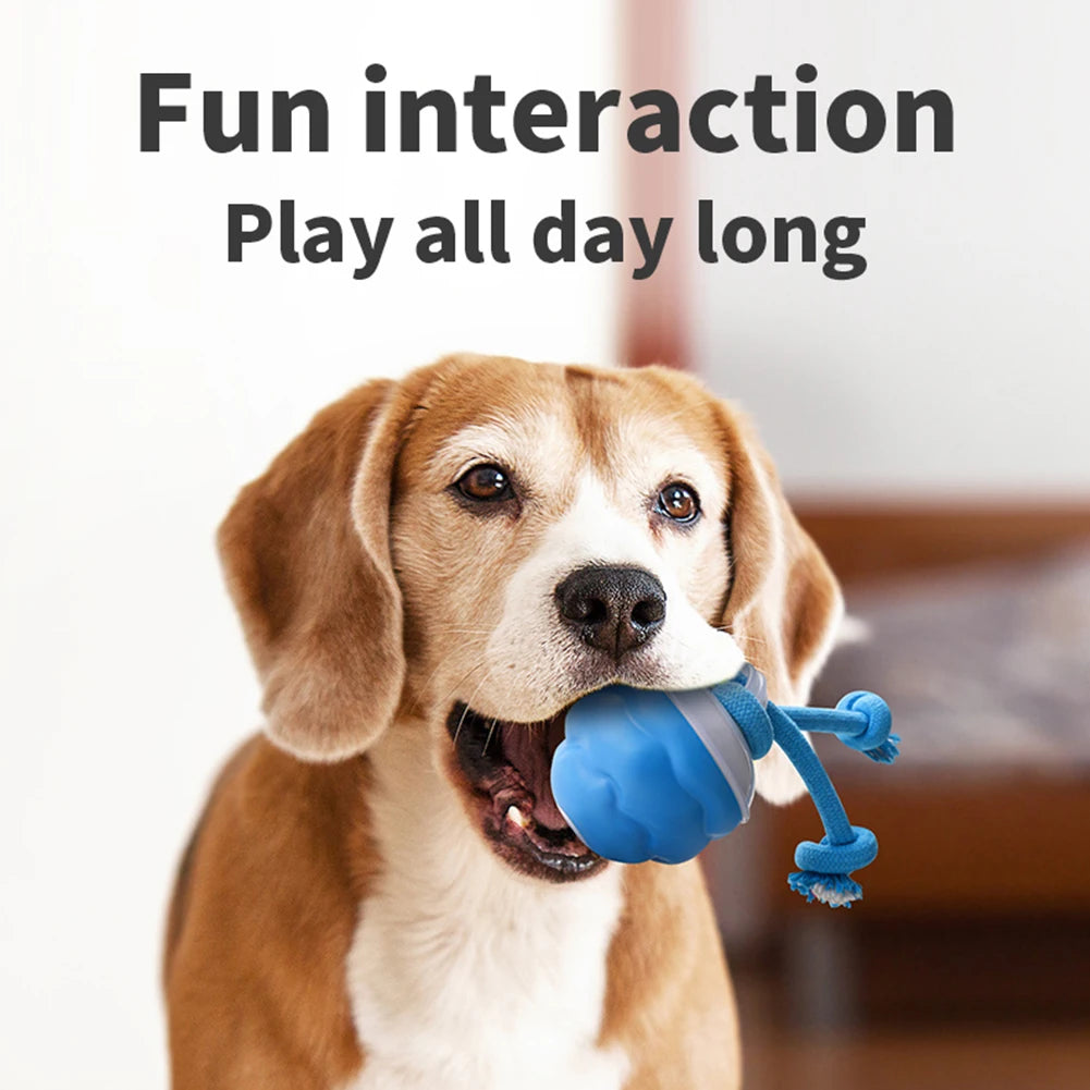 Juguete interactivo para perros con activación por movimiento