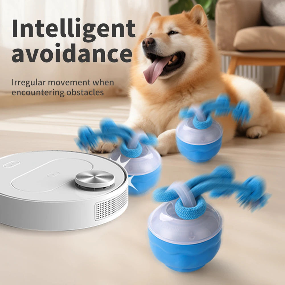 Juguete interactivo para perros con activación por movimiento
