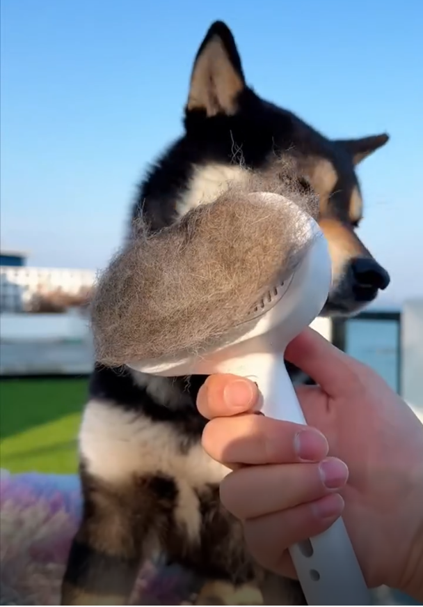 Cepillo Mágico para Mascotas