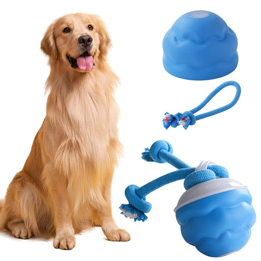 Juguete interactivo para perros con activación por movimiento